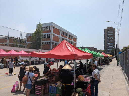 Agroferia campesina