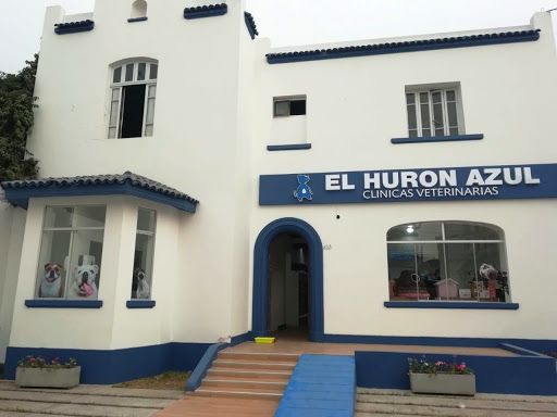 El Hurón Azul Clínica Veterinaria Sede Magdalena