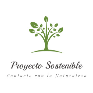 PROYECTO SOSTENIBLE